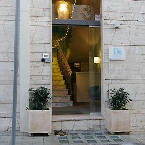Domus Nova